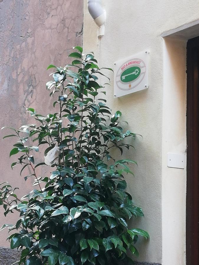 B&B Sotto Le Torri Albenga Exteriér fotografie